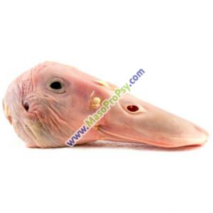 MPP Kachn&iacute; hlavy 4-5ks